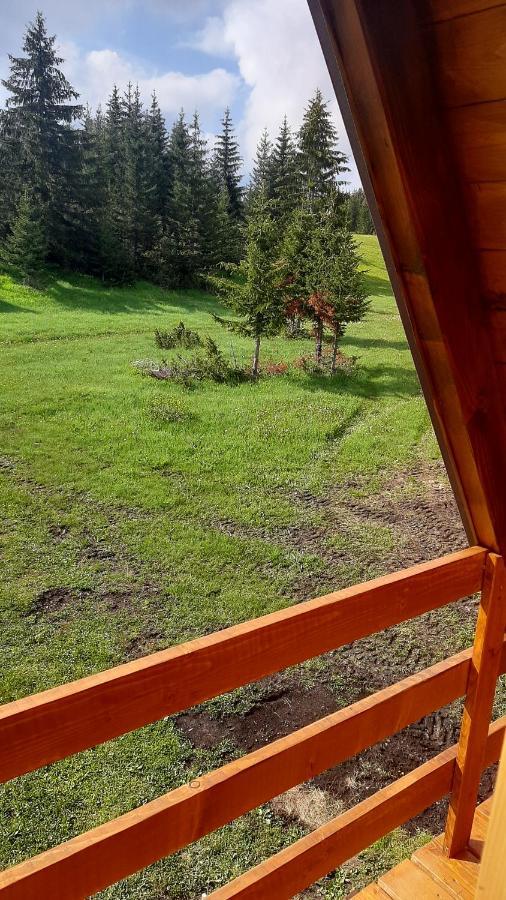 House Bojana Villa Žabljak Eksteriør bilde