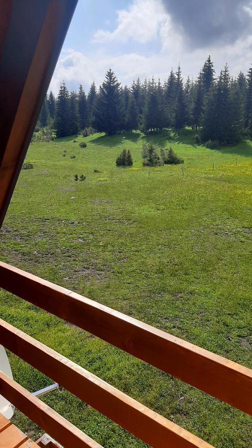 House Bojana Villa Žabljak Eksteriør bilde