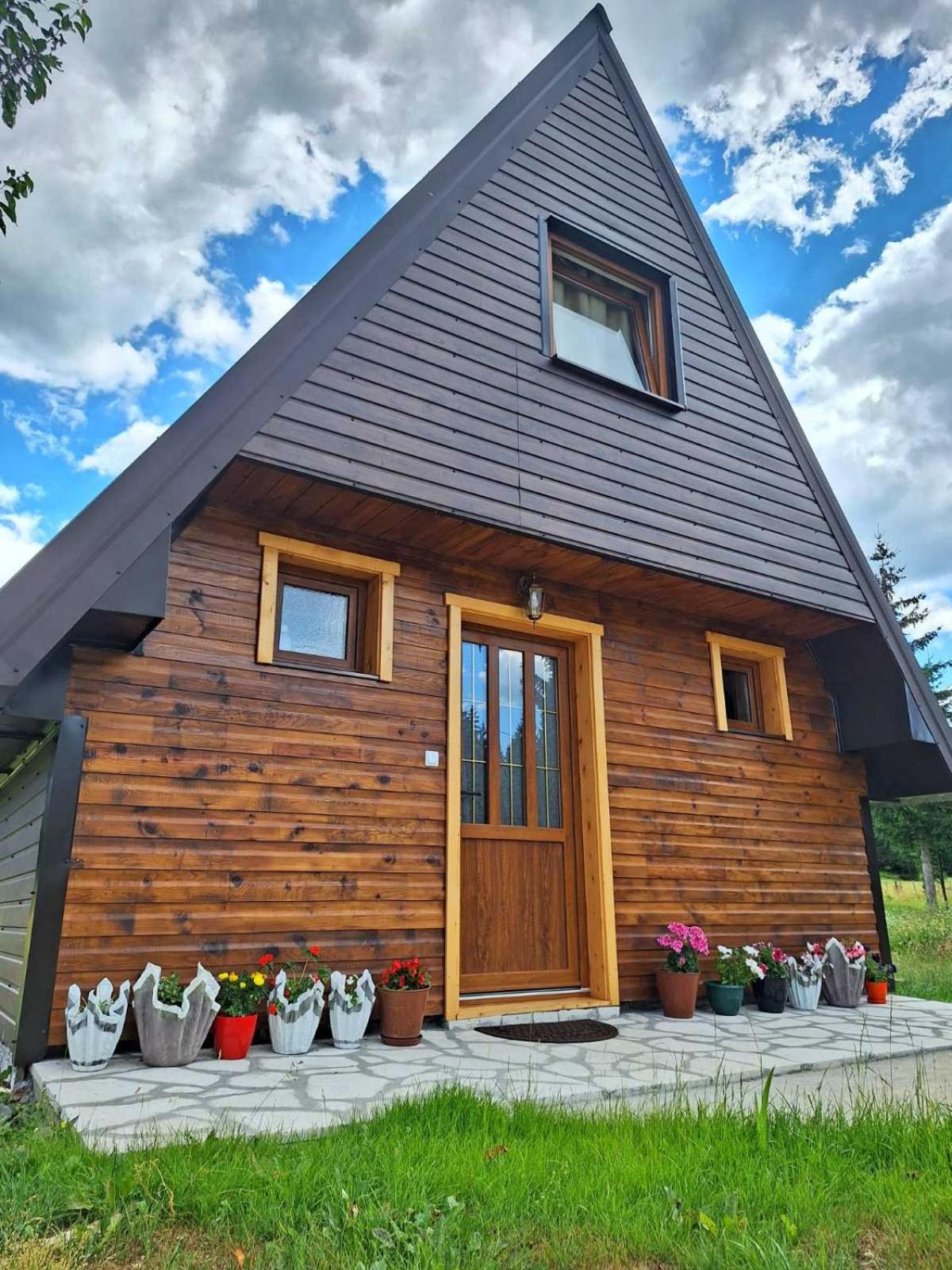 House Bojana Villa Žabljak Eksteriør bilde
